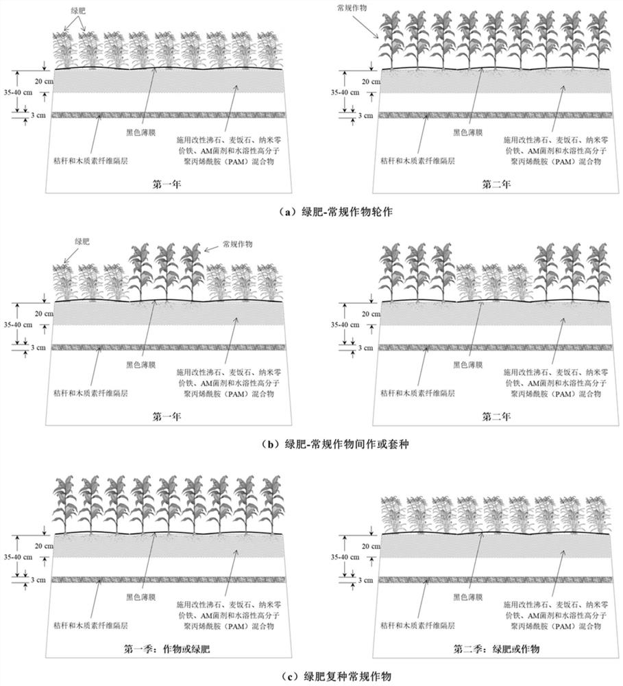 Rapid improving method for soil nutrient storage capacity and soil fertility of saline-alkali farmland in irrigation area