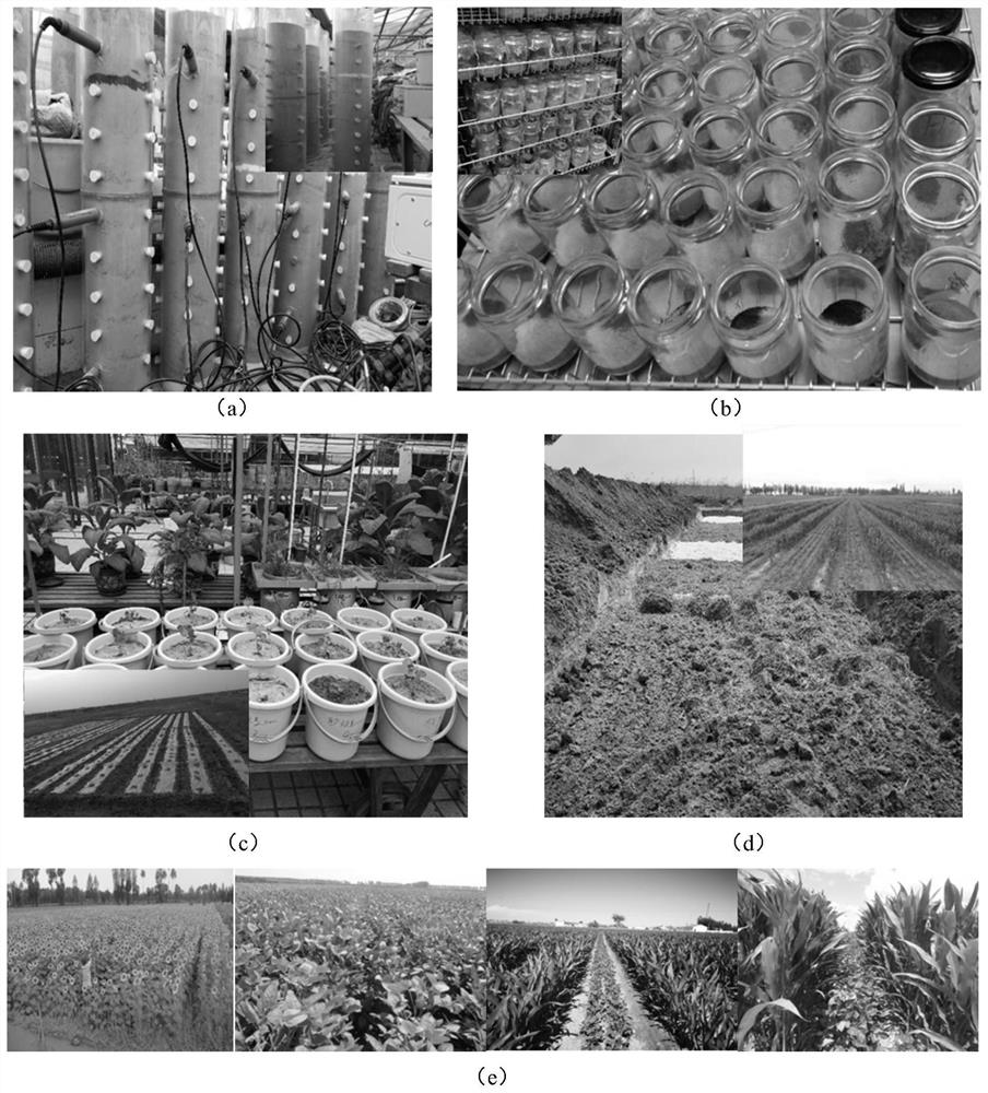 Rapid improving method for soil nutrient storage capacity and soil fertility of saline-alkali farmland in irrigation area