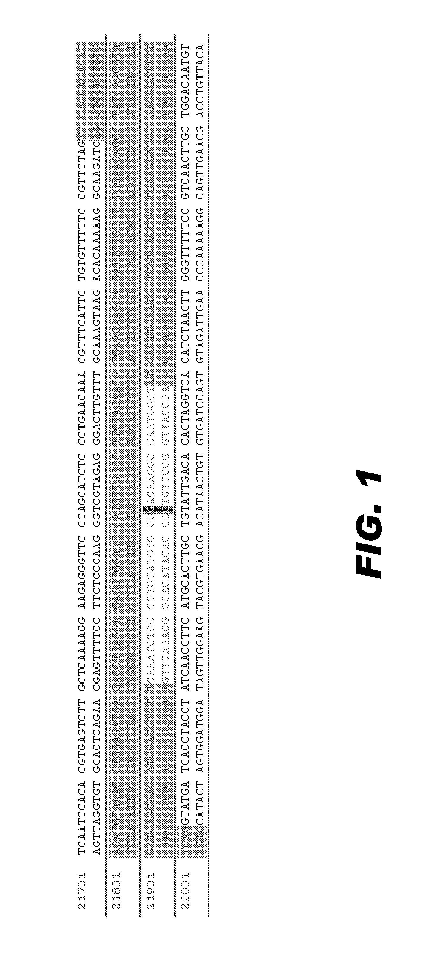 Genome editing of cytochrome p450 in animals