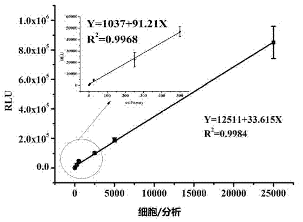 Human bladder cancer cellular chemiluminescent detection kit and preparation method thereof