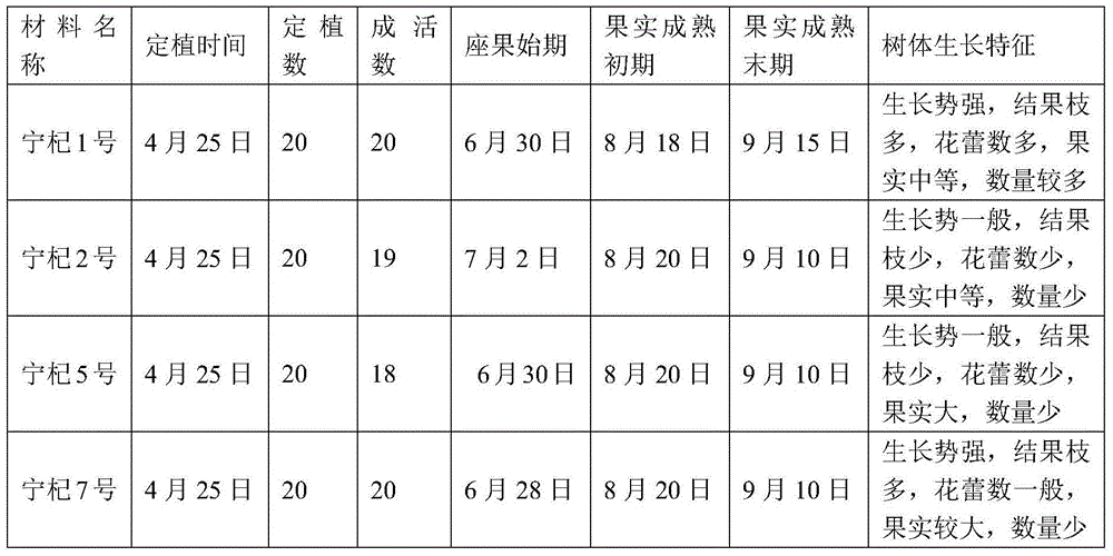 Pot-planting method for Ningxia wolfberry