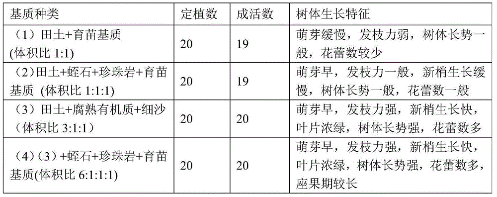 Pot-planting method for Ningxia wolfberry