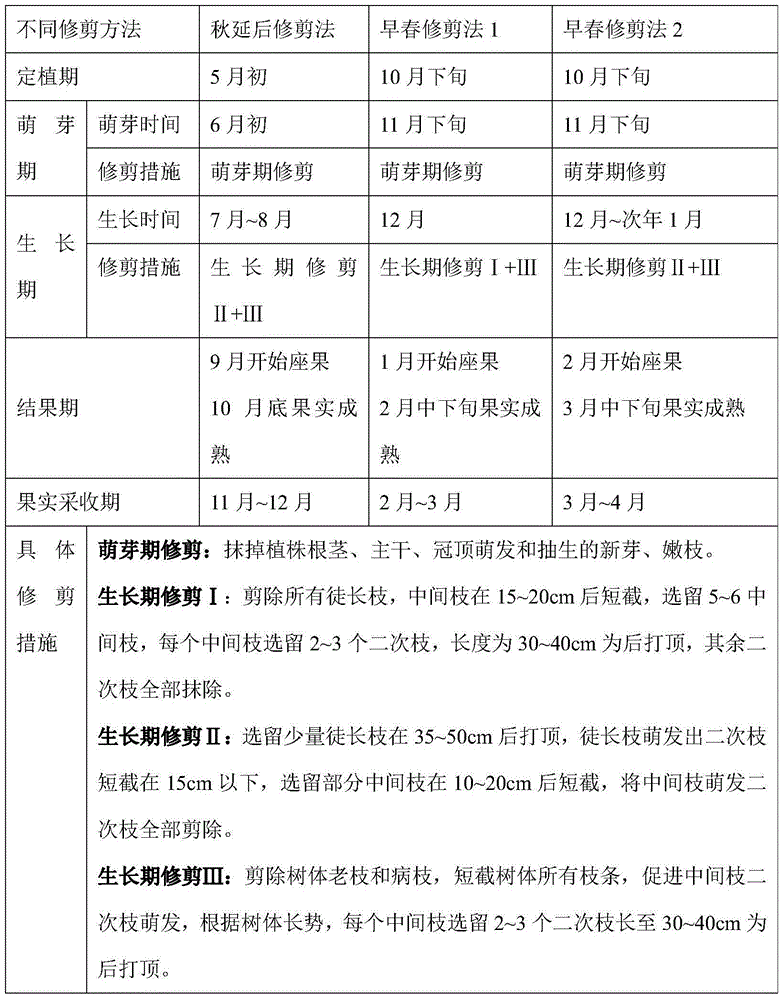 Pot-planting method for Ningxia wolfberry