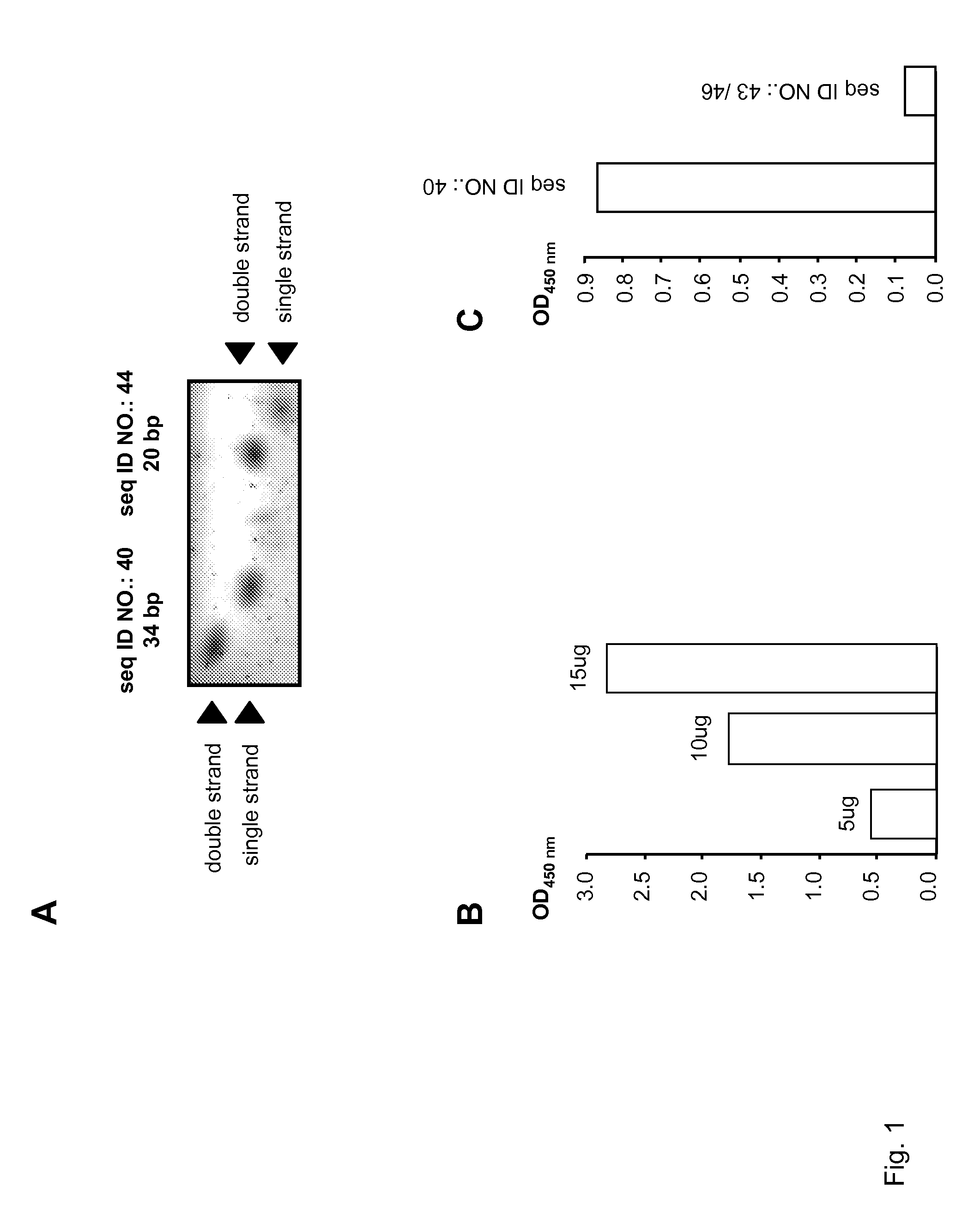 Gene expression and pain