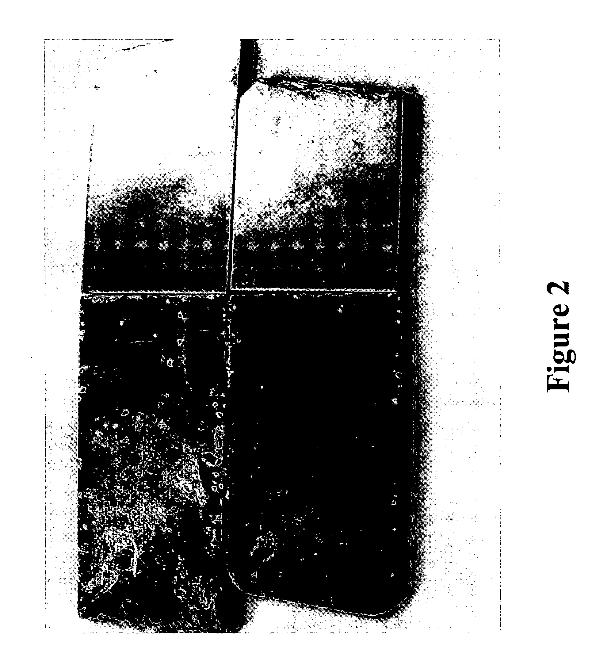 Coatings including tobacco products as corrosion inhibitors