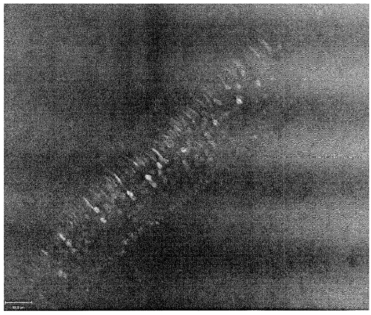 Chimeric promoter for cone photoreceptor targeted gene therapy