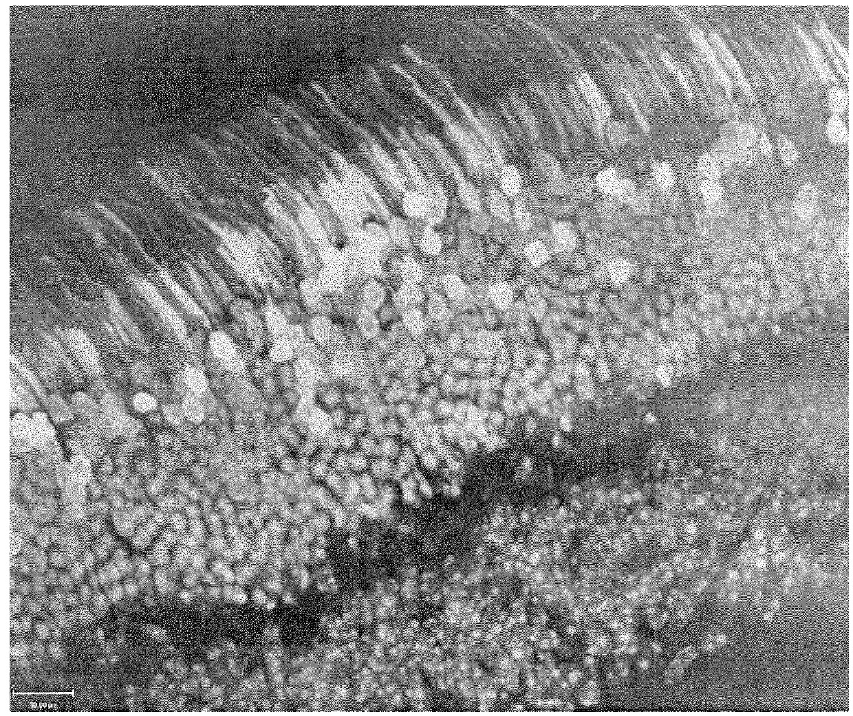 Chimeric promoter for cone photoreceptor targeted gene therapy