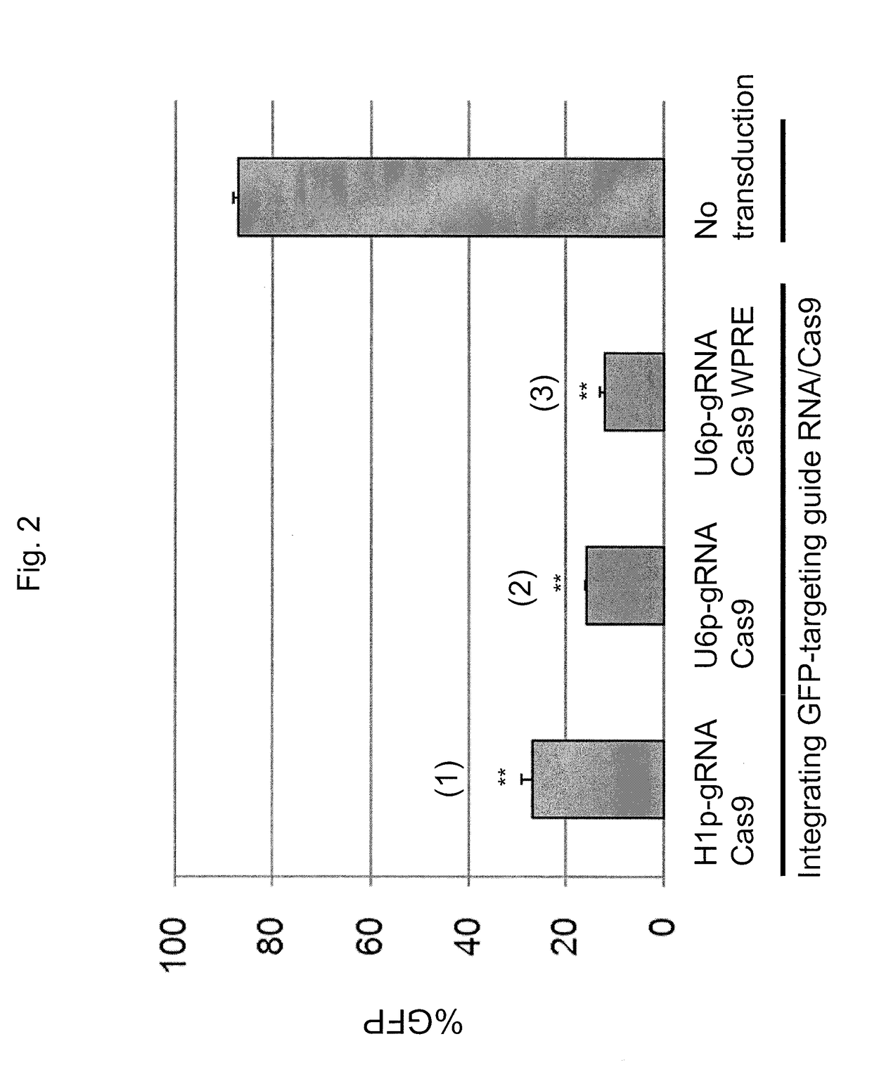 Lentiviral protein delivery system for rna-guided genome editing