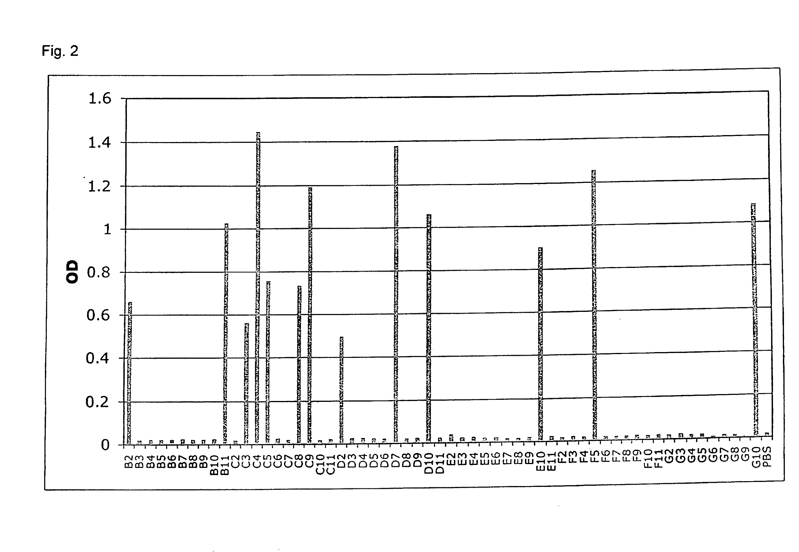 Specific and high affinity binding proteins comprising modified sh3 domains of fyn kinase