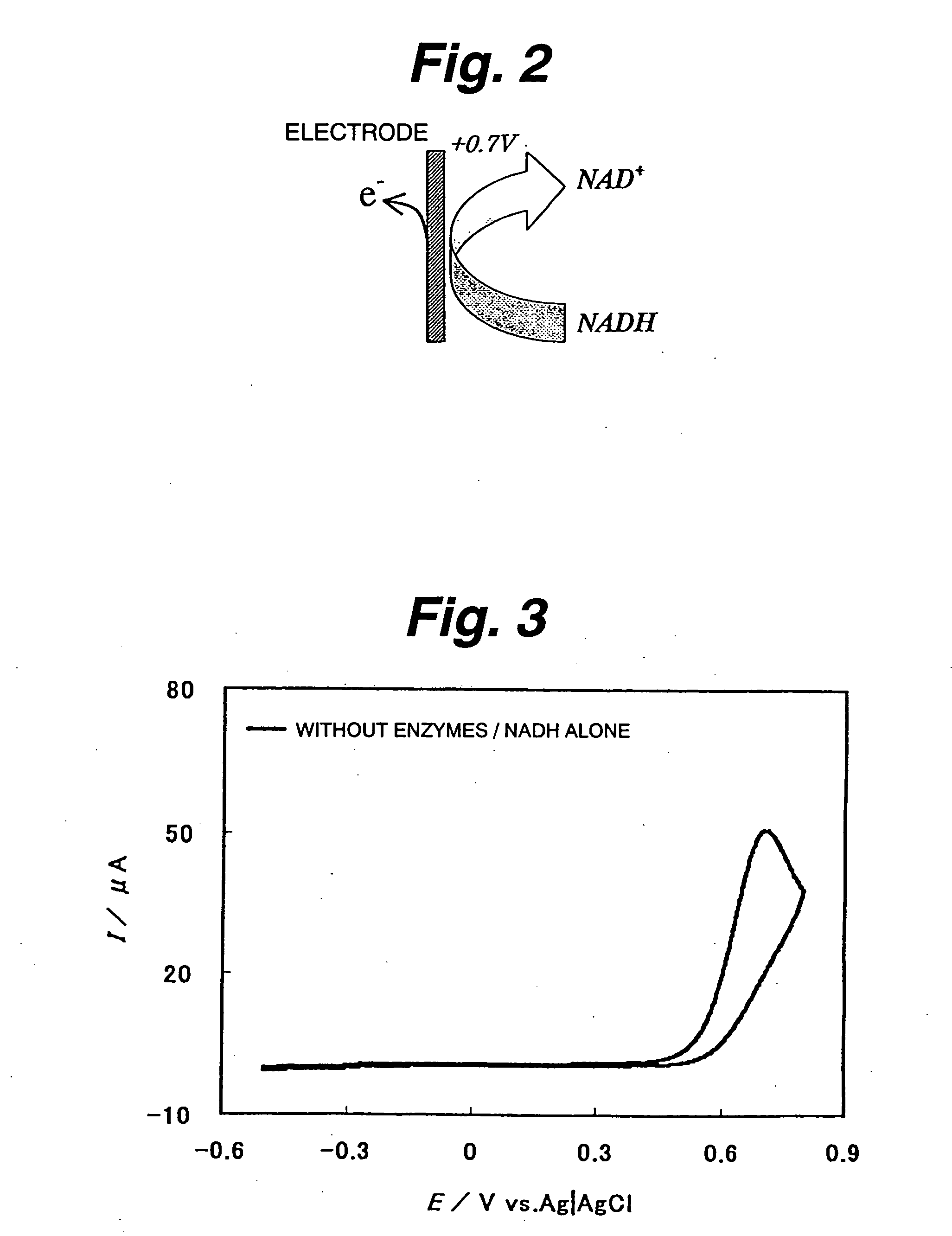 Immobilization support, process for producing the same, electrode, process for producing the same, electrode reaction utilizing apparatus and process for producing the same