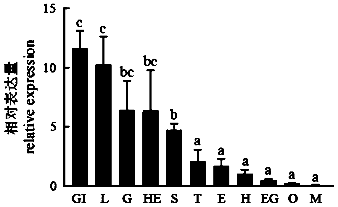 Penaeus monodon Na&lt;+&gt;/K&lt;+&gt;/2Cl&lt;-&gt; cotransporter NKCC gene and application thereof