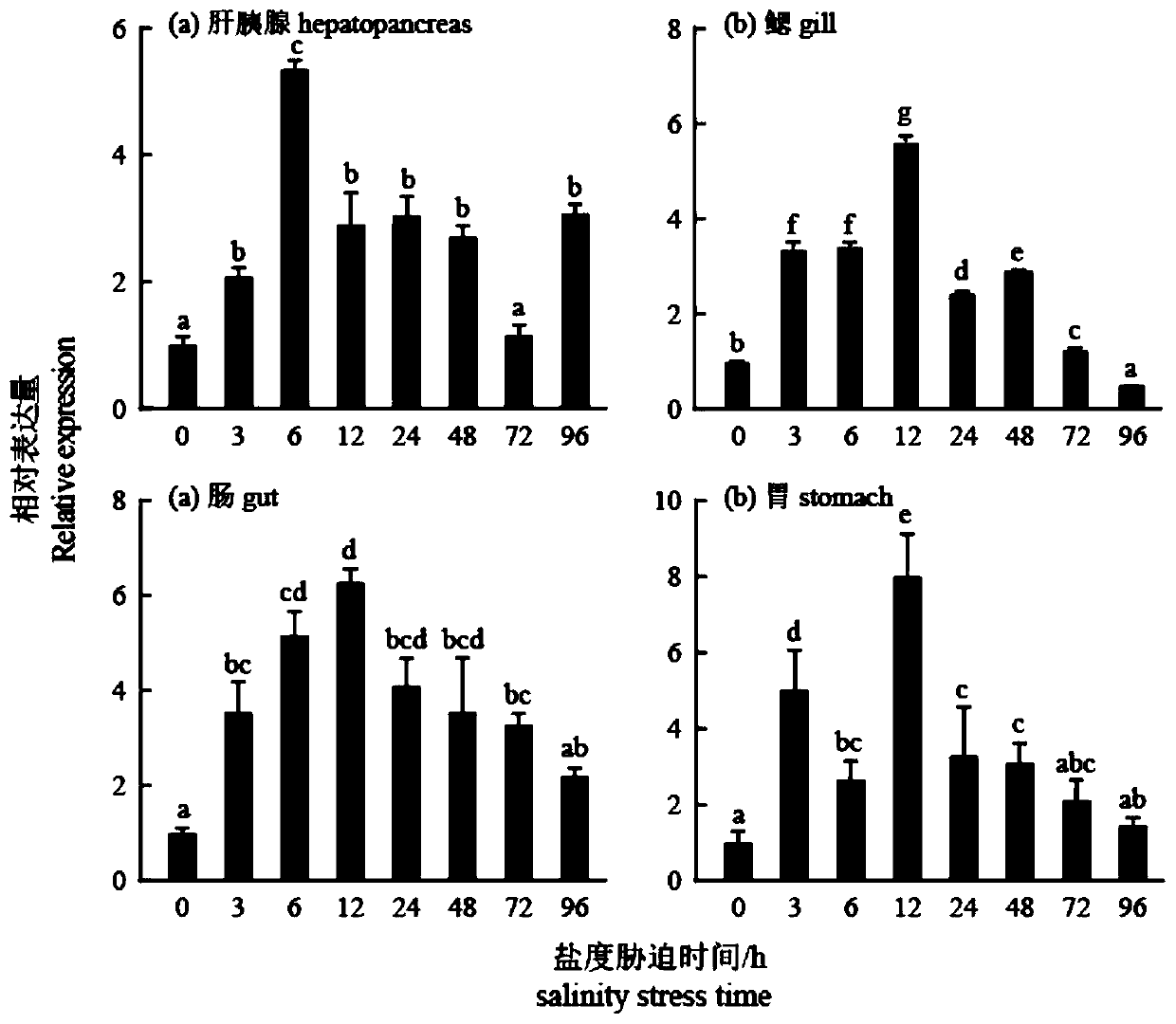 Penaeus monodon Na&lt;+&gt;/K&lt;+&gt;/2Cl&lt;-&gt; cotransporter NKCC gene and application thereof