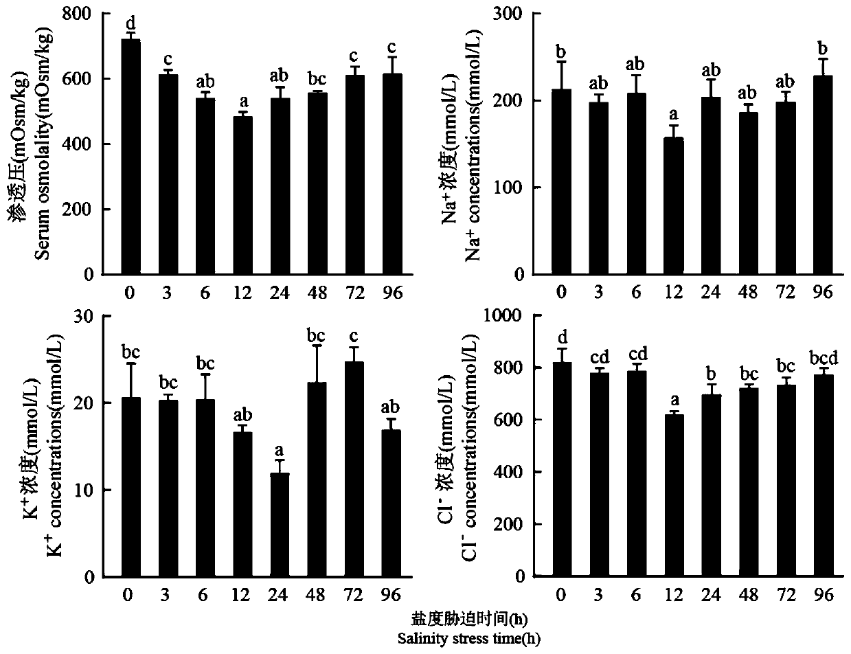 Penaeus monodon Na&lt;+&gt;/K&lt;+&gt;/2Cl&lt;-&gt; cotransporter NKCC gene and application thereof