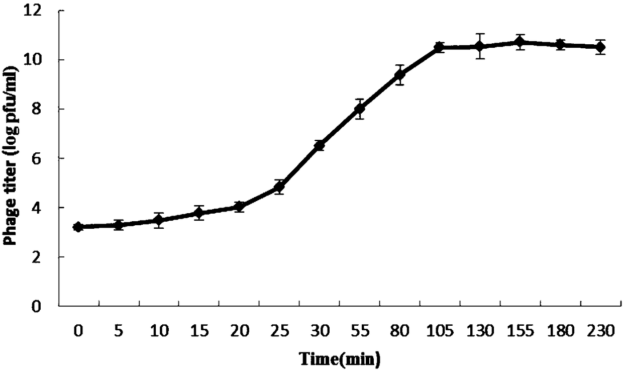 Bacteriophage of fish bacteria and application thereof