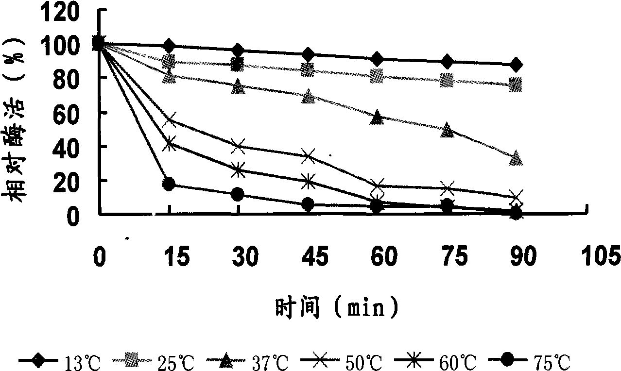 Yersinia strain KM1, low temperature alkaline lipase prepared thereby and purification method thereof