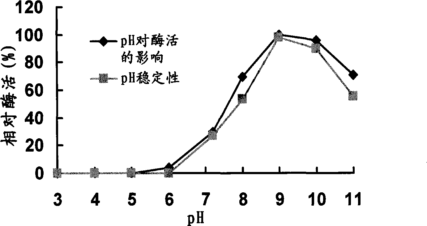 Yersinia strain KM1, low temperature alkaline lipase prepared thereby and purification method thereof