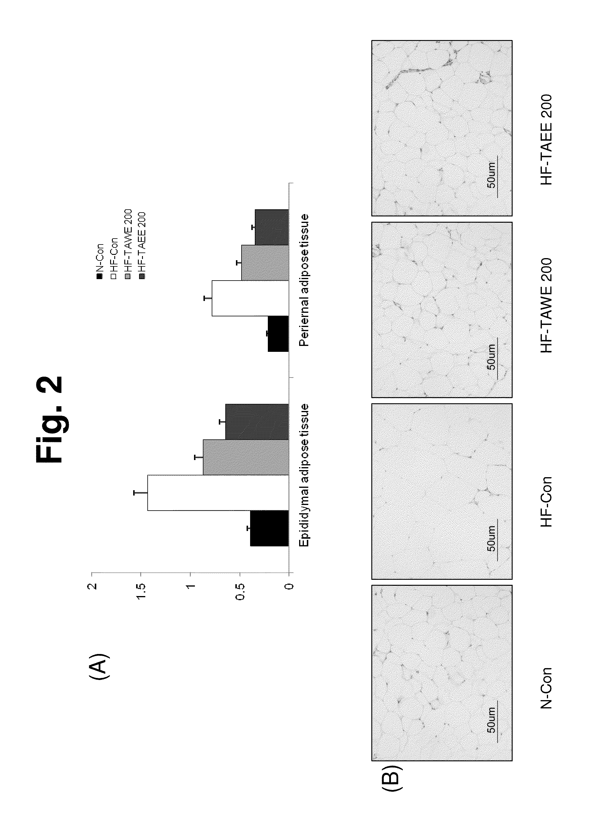 Composition for treating and preventing obesity, containing wheatgrass extract as active ingredient