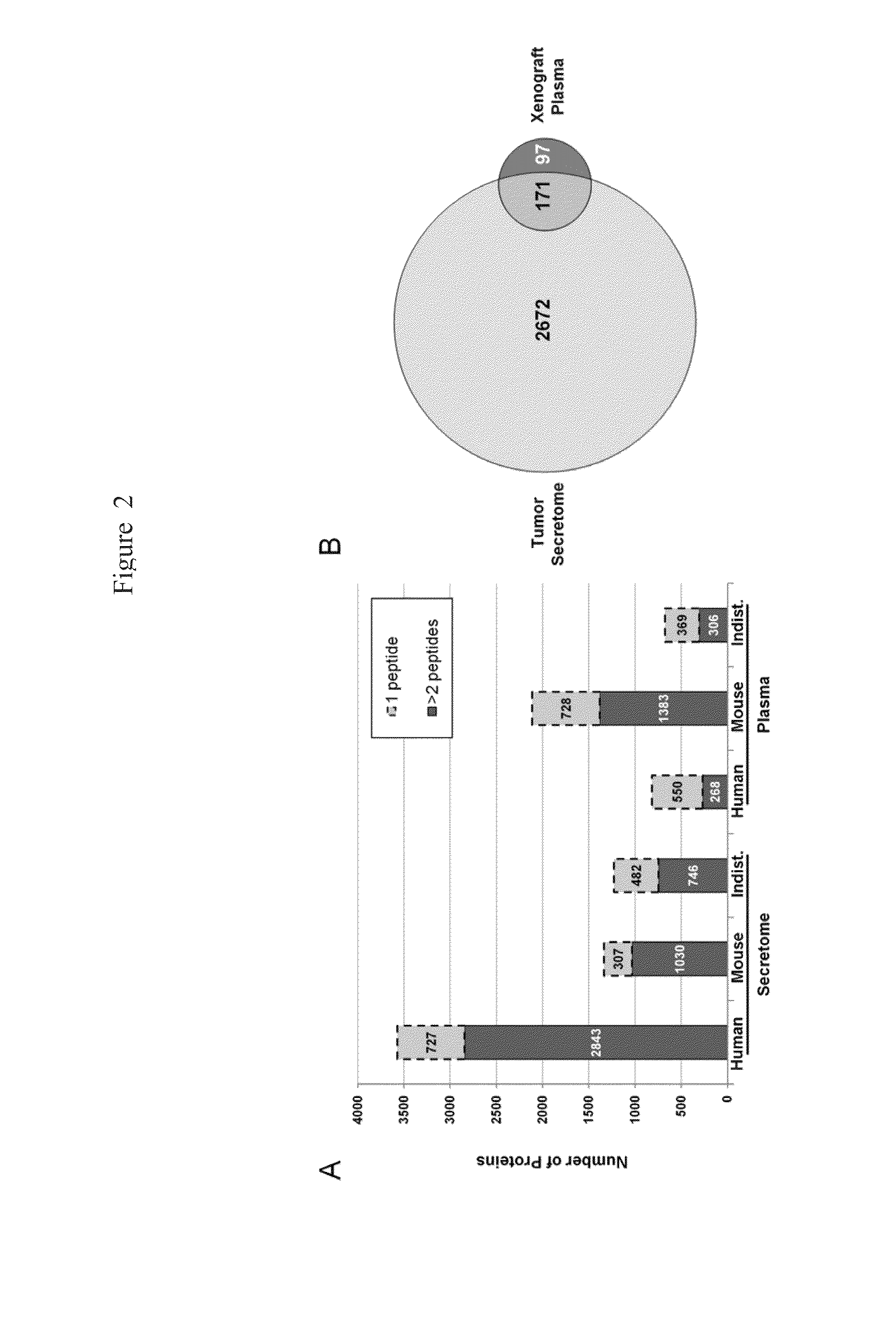 Methods and Compositions for Diagnosis of Ovarian Cancer