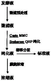 Injection of serine protease inhibitor