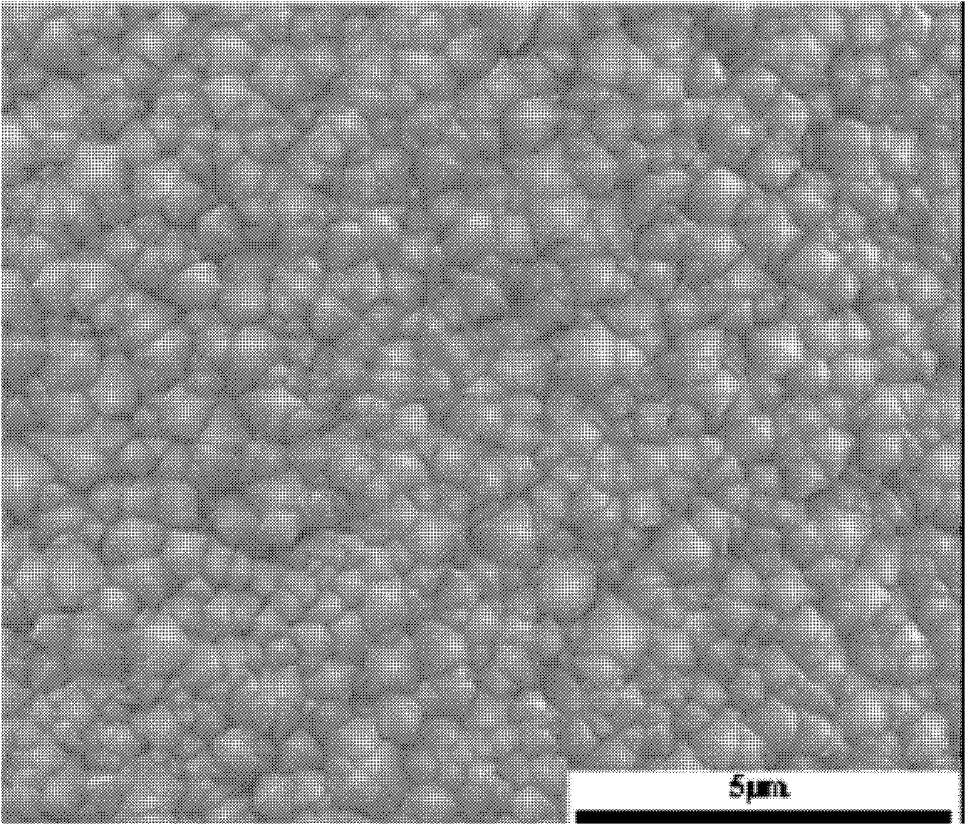 Amorphous fibre end portion composite electroplate micro-jointing method