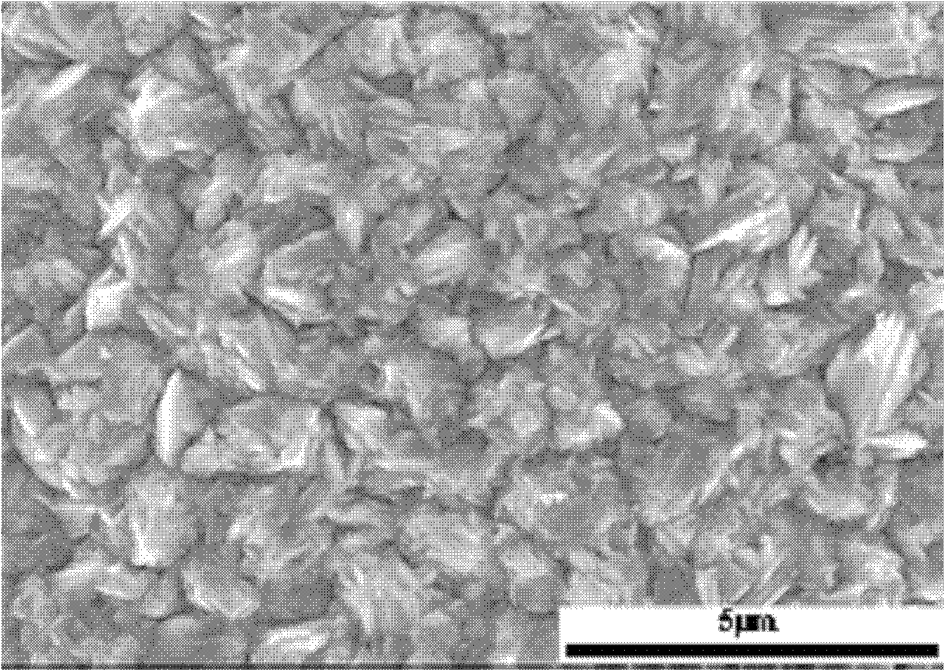 Amorphous fibre end portion composite electroplate micro-jointing method