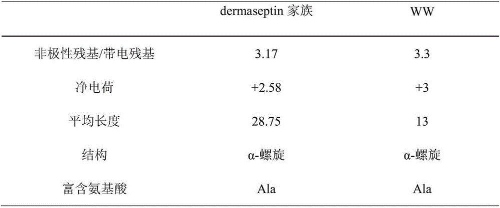 AMP (antimicrobial peptide) WW based on peptide miniaturization strategy as well as preparation method and application of AMP WW