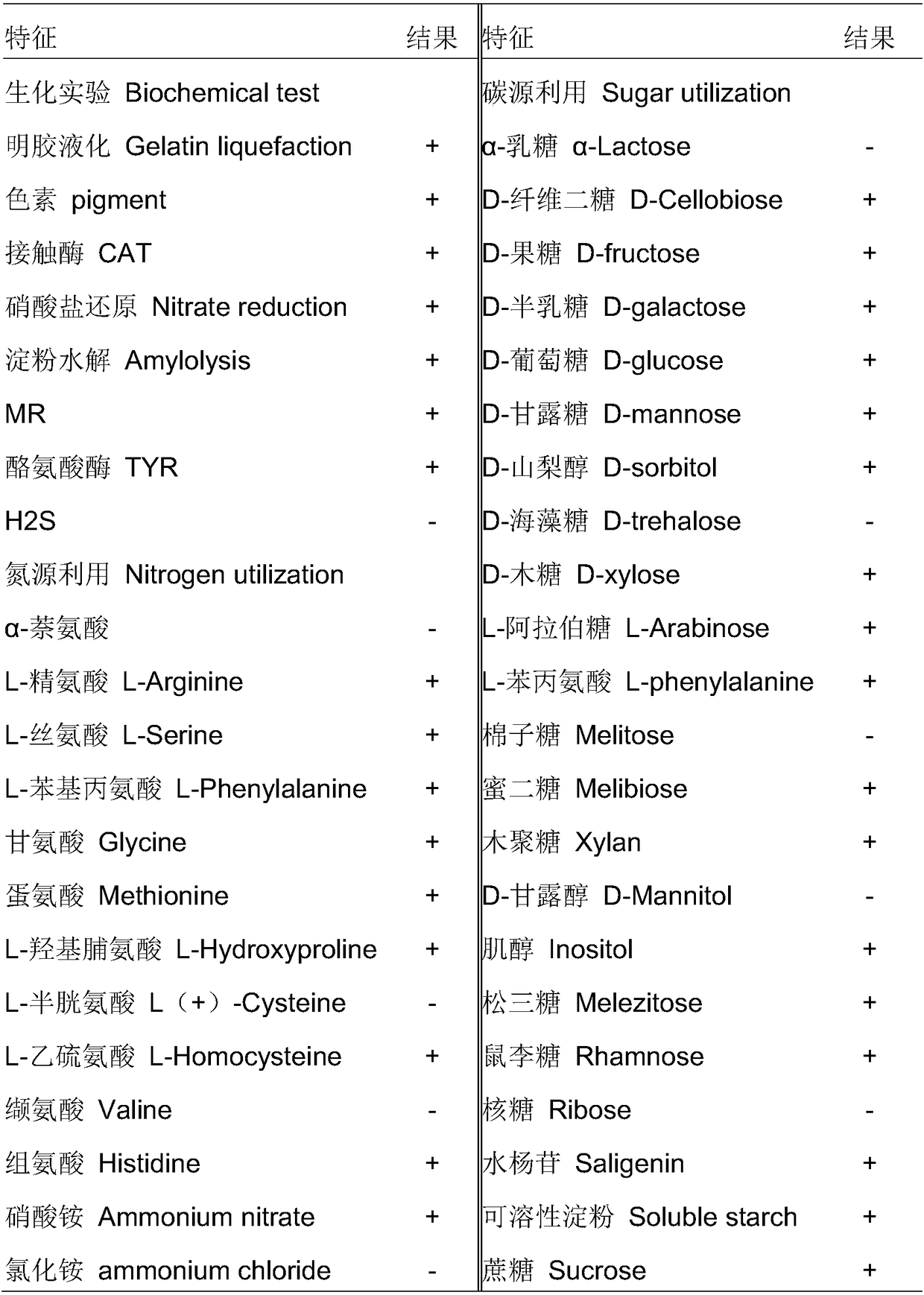 Actinomycetes and application thereof