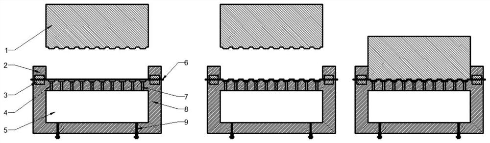 Bipolar plate manufacturing device and method based on positive and negative pressure auxiliary forming