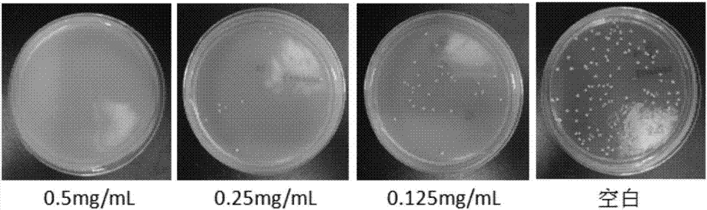 Novel water soluble natural polysaccharide antibacterial material and preparation method thereof