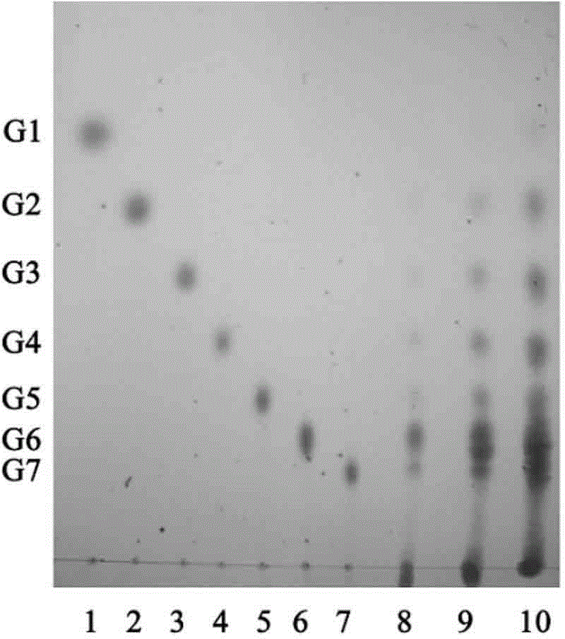 Application of novel moderate temperature alpha-amylase