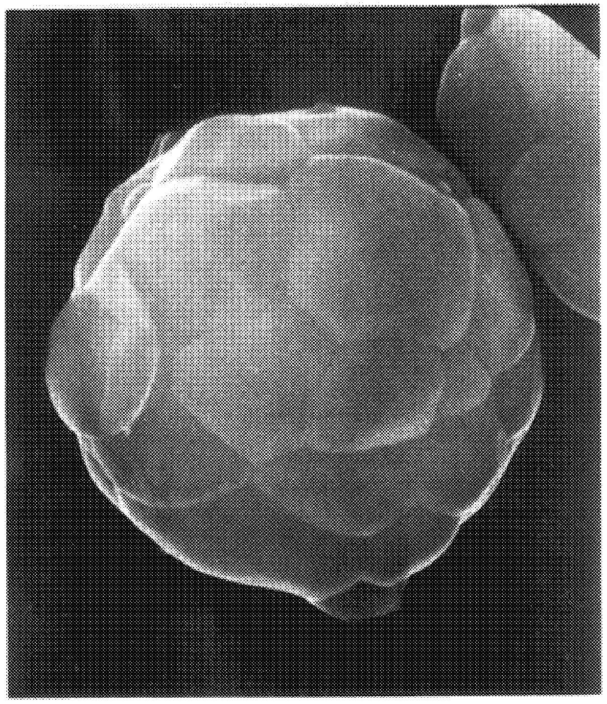 Packing material for liquid chromatography and process for producing the same