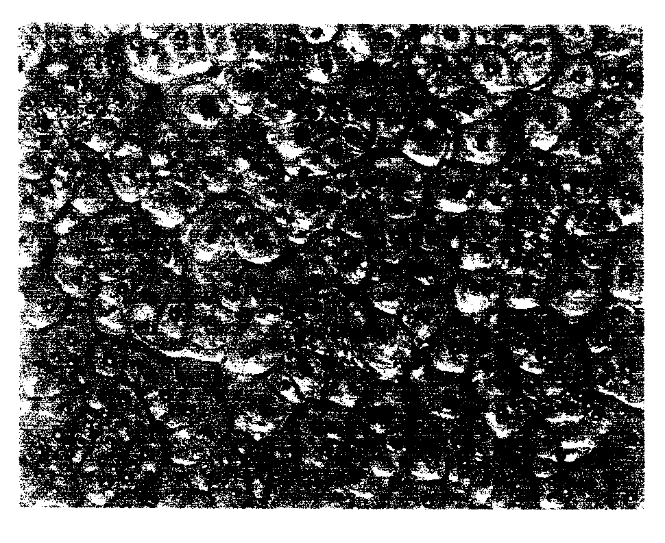 Method for manufacturing resin hair flower decorating panel