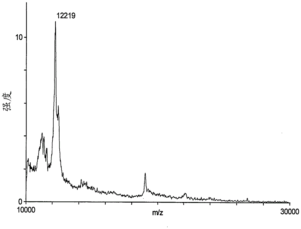 Isolated microorganism strains lactobacillus plantarum mcc1 dsm 23881 and lactobacillus gasseri mcc2 dsm 23882 and their use