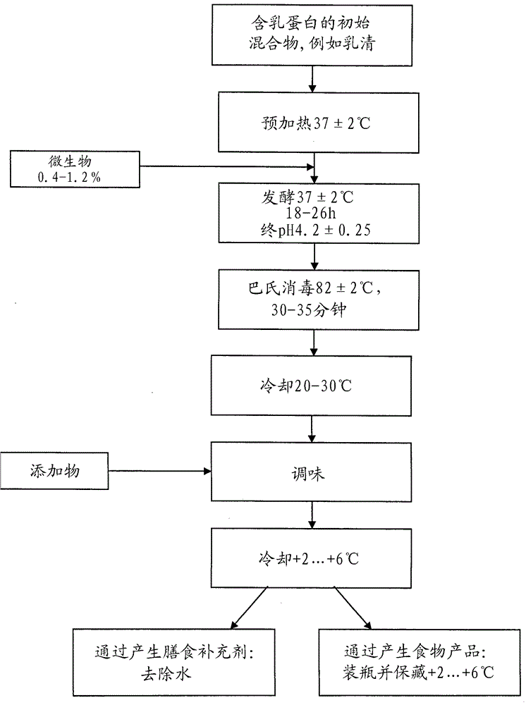 Isolated microorganism strains lactobacillus plantarum mcc1 dsm 23881 and lactobacillus gasseri mcc2 dsm 23882 and their use