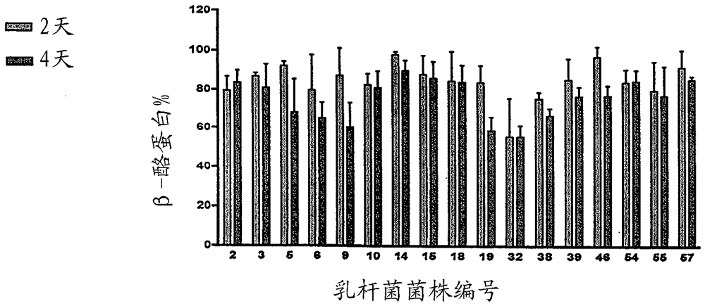 Isolated microorganism strains lactobacillus plantarum mcc1 dsm 23881 and lactobacillus gasseri mcc2 dsm 23882 and their use