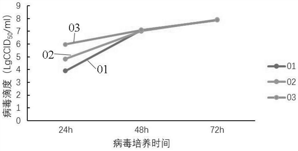 Novel coronavirus vero cell inactivated vaccine virus solution and production method thereof