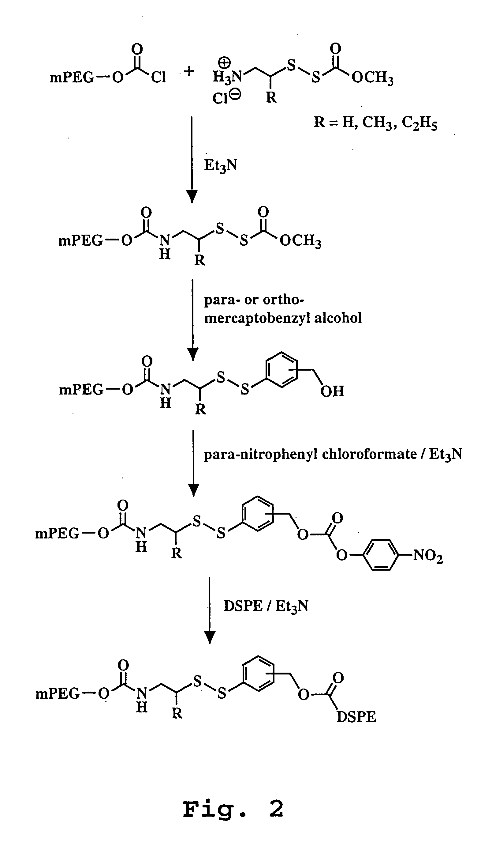 Liposome composition for improved intracellular delivery of a therapeutic agent