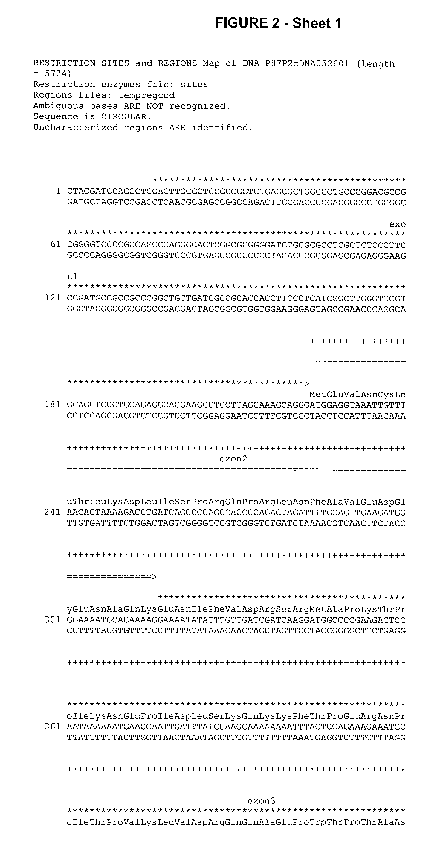 Telomerase expression repressor proteins and methods of using the same