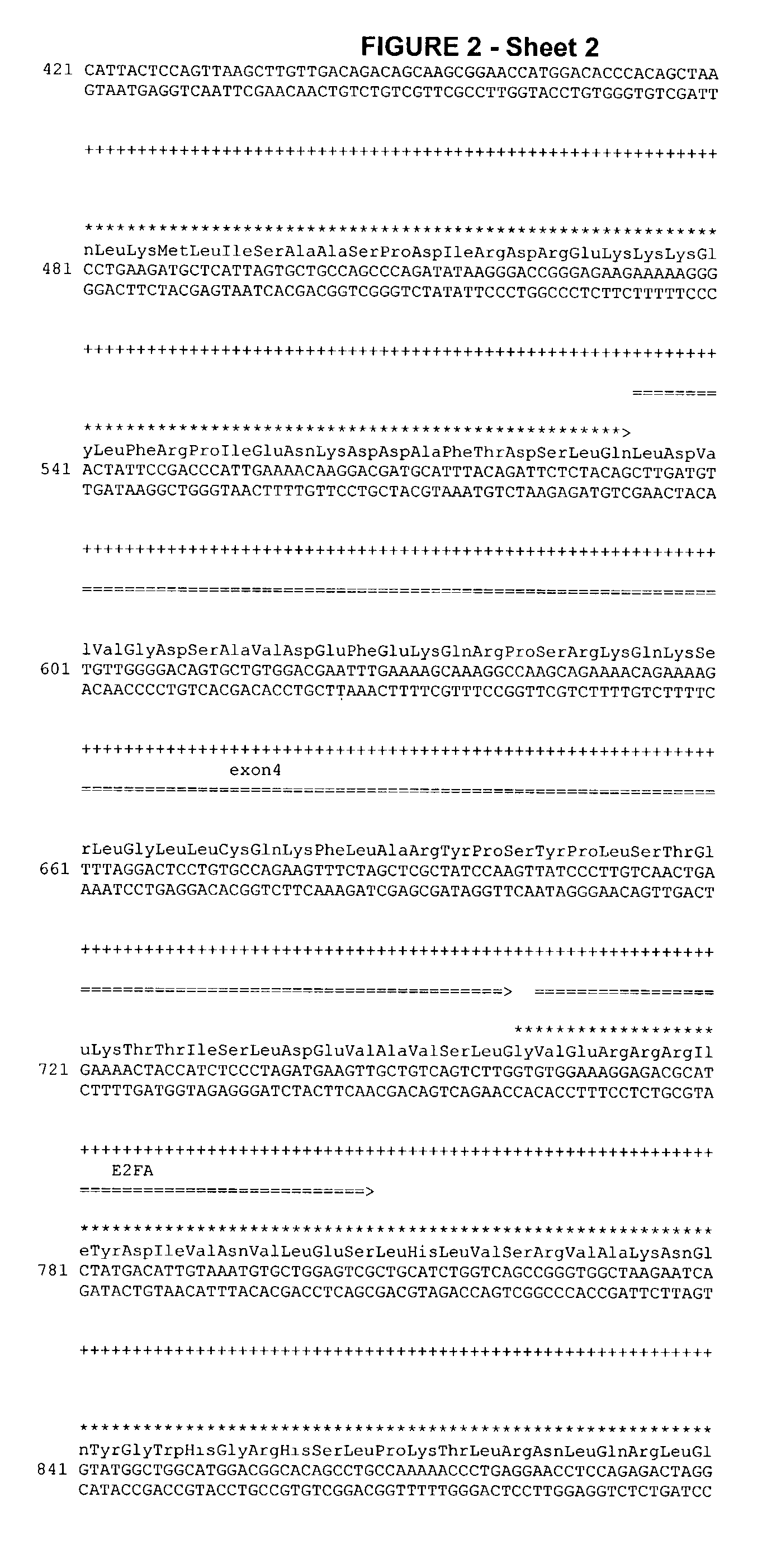 Telomerase expression repressor proteins and methods of using the same