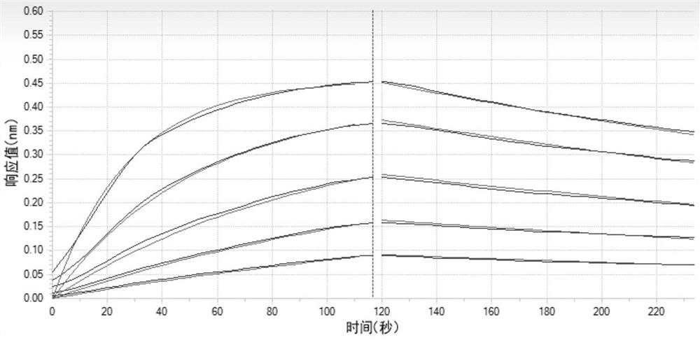 Anti-PD-1-anti-VEGFA bispecific antibodies, pharmaceutical compositions and uses thereof