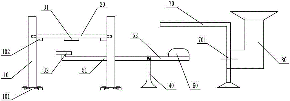 Processing equipment for tetradium ruticarpum