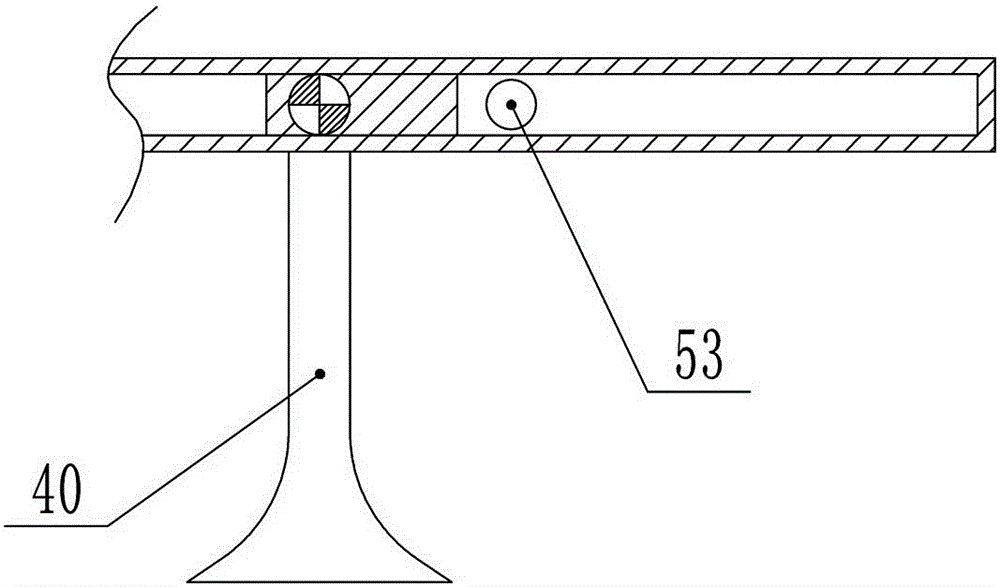 Processing equipment for tetradium ruticarpum