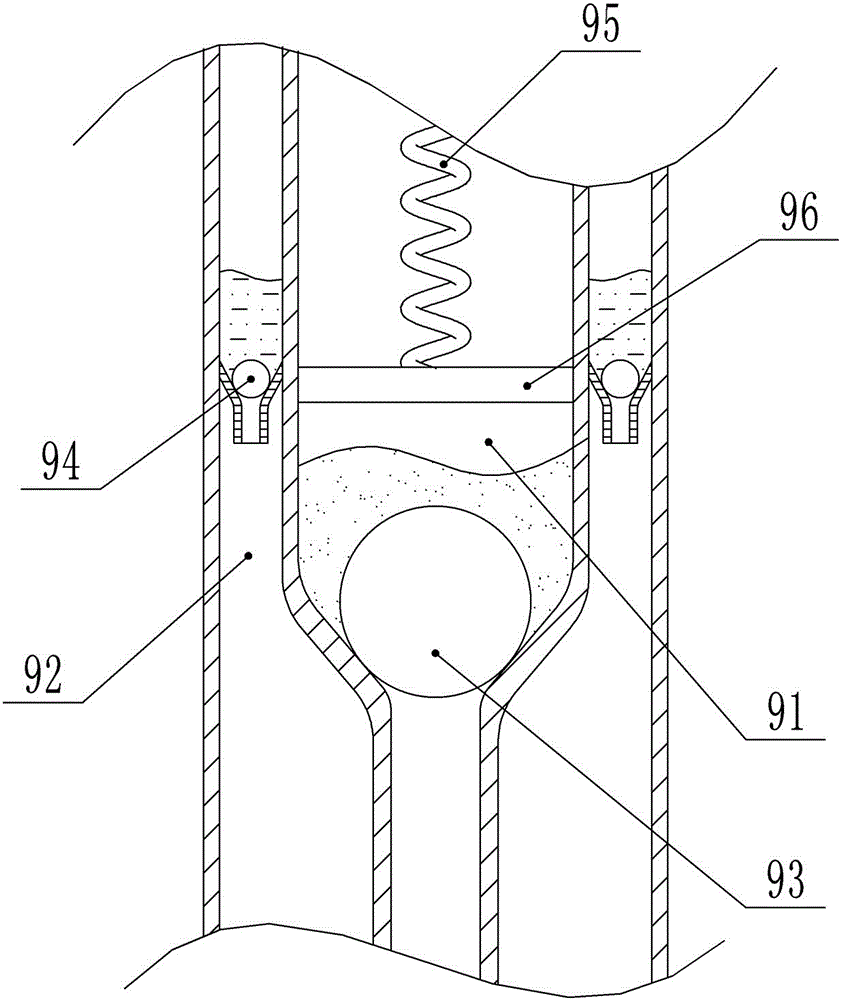 Processing equipment for tetradium ruticarpum