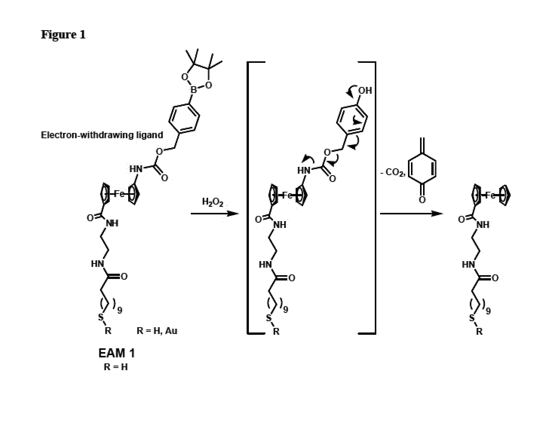 Single, Direct Detection Of Hemoglobin A1C Percentage Using Enzyme Triggered Redox Altering Chemical Elimination (E-Trace) Immunoassay