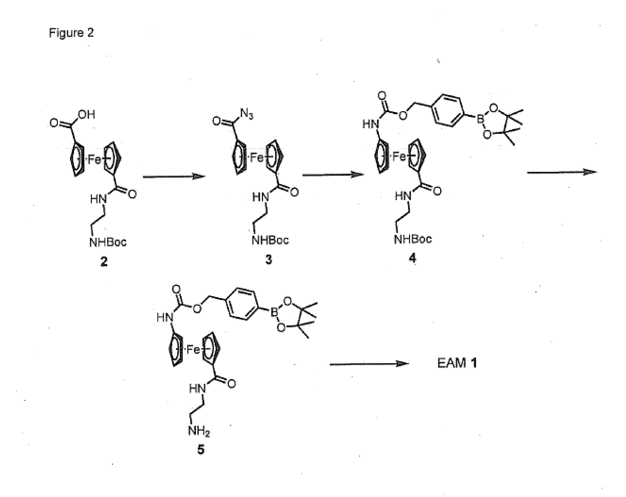 Single, Direct Detection Of Hemoglobin A1C Percentage Using Enzyme Triggered Redox Altering Chemical Elimination (E-Trace) Immunoassay