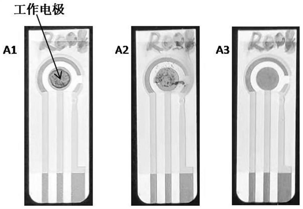 Regenerative electrode and preparation method thereof