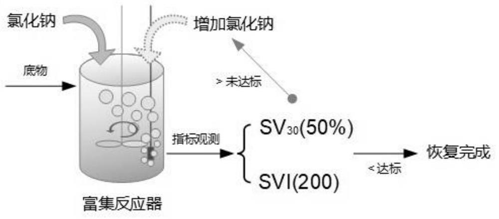 A kind of method utilizing sodium chloride to regulate the synthetic stability of polyhydroxyalkanoate of mixed flora