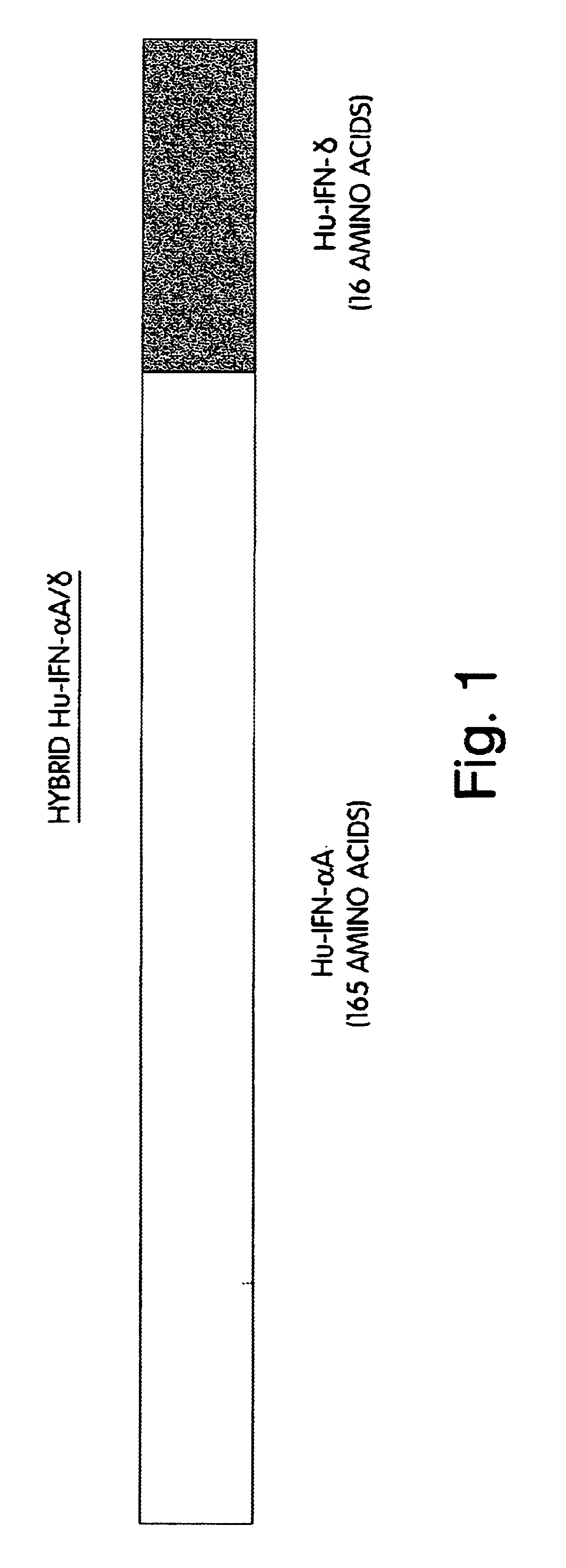 Phosphorylated fusion proteins