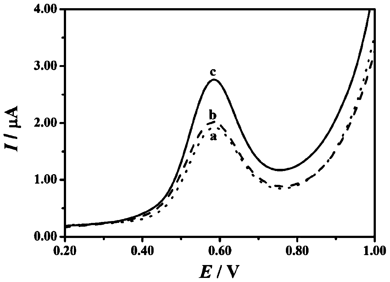 Electrochemical detection method of capsaicins in illegal cooking oil