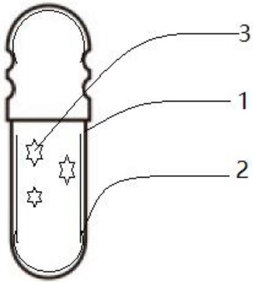 Enteric capsule